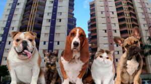 Pets nas Áreas Comuns de Condomínios: Convivência e Segurança para todos